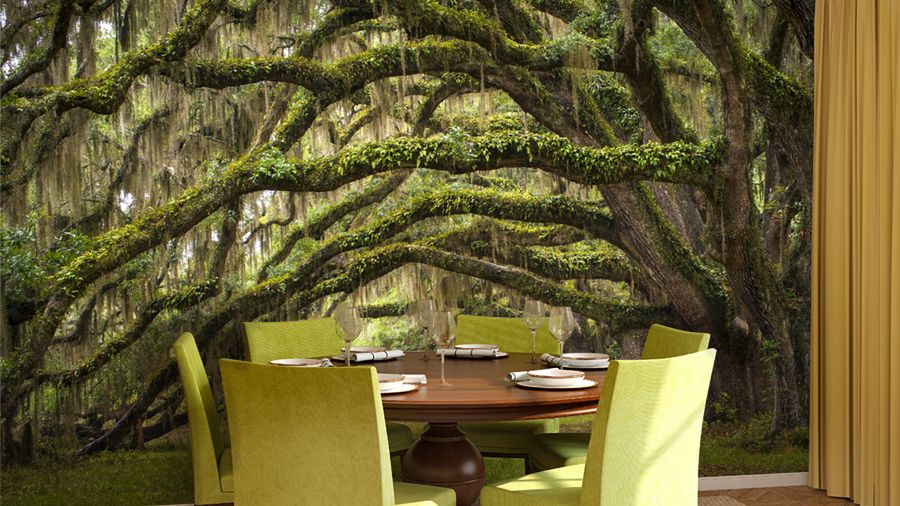 Dzięki fototapecie można stworzyć w mieszkaniu niezwykły klimat