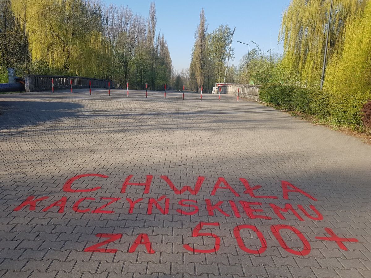 Sosnowiec. Napisy "Chwała Kaczyńskiemu za 500 plus” w miejskim parku