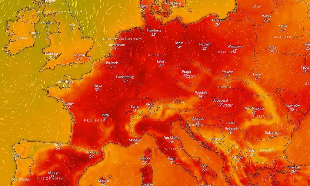 Globalne ocieplenie zabija. Niepokojące dane dotyczą także Polaków