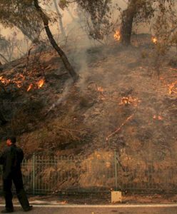 Aresztowania w sprawie podpaleń w Grecji