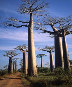 Co słychać u Jarosława Kreta?