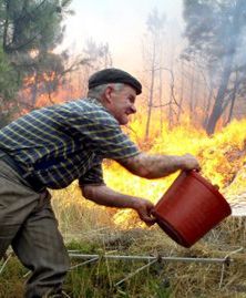 Portugalia prosi UE o pomoc w walce z pożarami lasów