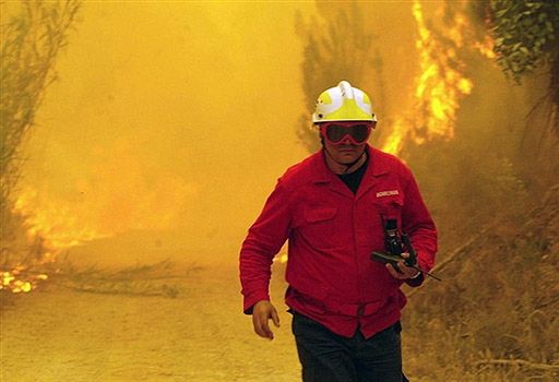 Podpalono las w Kalifornii, 4 strażaków zginęło