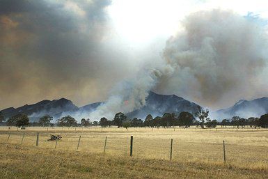 Wielkie pożary w Australii