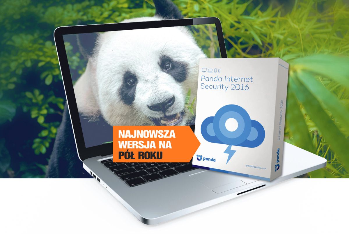 Panda na straży systemu