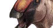Aquilarhinus palimentus - dinozaur z dziobem kaczki. Paleontolodzy zaskoczeni odkryciem