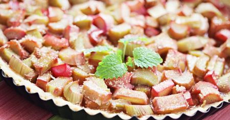 Tarta bez pieczenia z rabarbarem