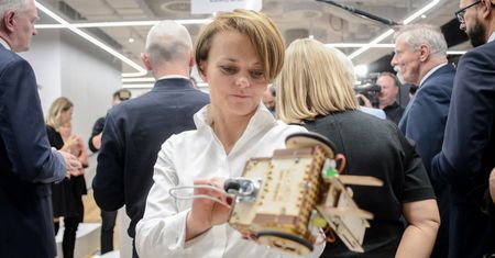 Specjalisto, rząd wyśle cię na urlop, abyś założył własną firmę. "Więcej szkód niż pożytku"