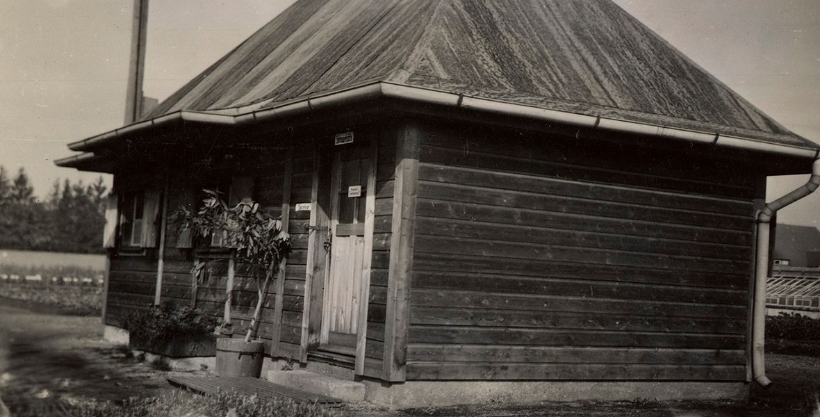 Obóz koncentracyjny w Dachau. Na plantacji ziół 