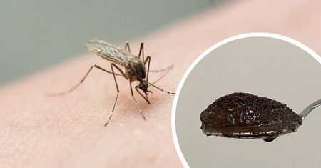 Znajomy wędkarz zdradził mi trik. Komary zawracają, zamiast do mnie przylecieć