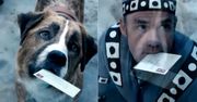 "Zew krwi": żadne zwierzę nie jest tam prawdziwe. Psa udawał znany specjalista