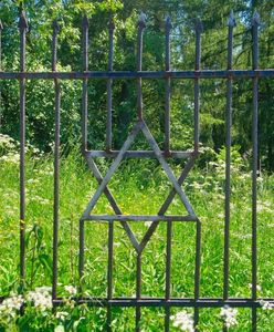 Porządkowali stary cmentarz. Znaleźli martwy płód