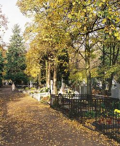 Jak dojechać na cmentarze we Wszystkich Świętych? Rozkład dla Wrocławia