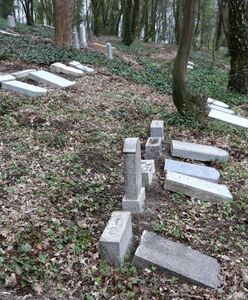 Uszkodzono 130 zabytkowych nagrobków. Sprawcy mają 11 i 12 lat