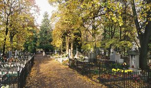 Jak dojechać na cmentarze we Wszystkich Świętych? Rozkład dla Wrocławia