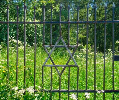 Porządkowali stary cmentarz. Znaleźli martwy płód