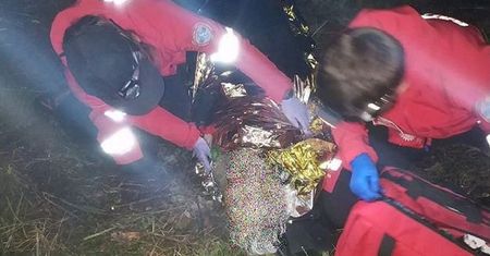 Mazowieckie. Poszedł do lasu na grzyby. Dramat grzybiarza trwał 3 dni