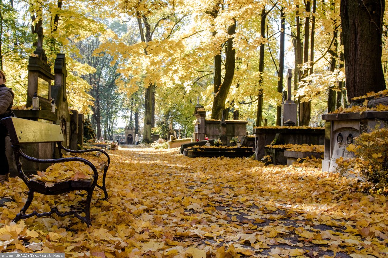 Wszystkich Świętych. Pogoda na długi weekend. Najnowsza prognoza