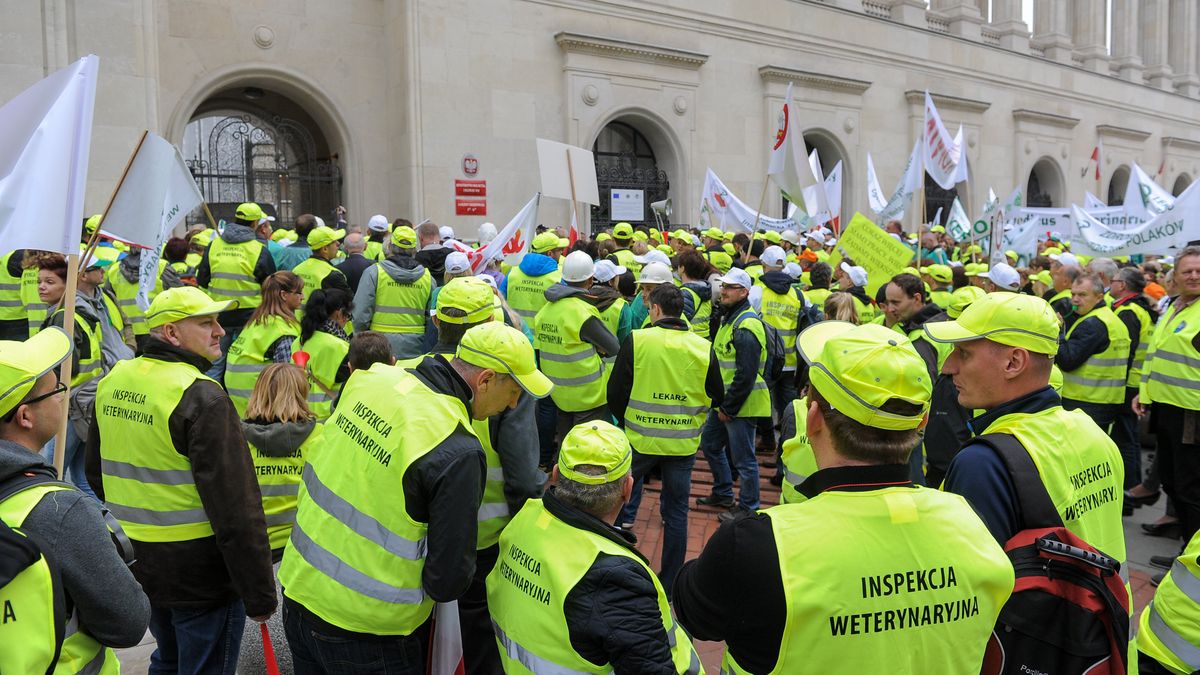 Inspekcja Weterynaryjna traci cierpliwość