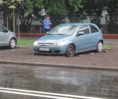 Absurdy drogowe. Posiali trawnik dookoła zaparkowanego samochodu