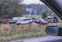 Nowa, ponad 100-osobowa "mafia rumuńskich grzybiarzy". Popłoch we wsi w Małopolsce