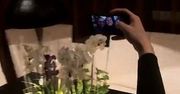 Tak mieszka Agnieszka Woźniak-Starak. Celebrytka nie ma na co narzekać