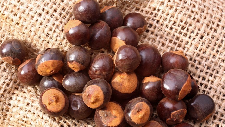 Produkty z guaraną są polecane osobom aktywnym fizycznie.
