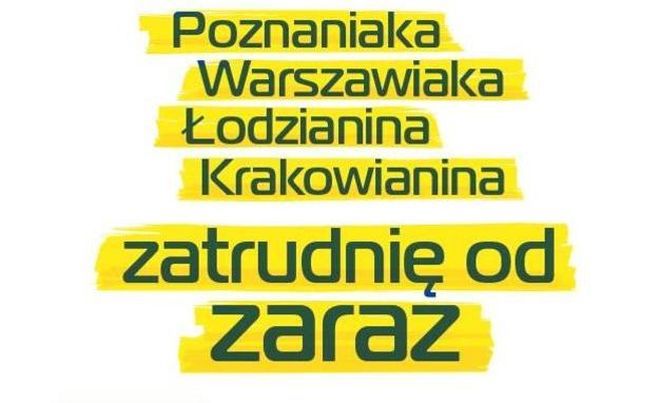 Poznań szukał profesjonalistów. A ilu znalazł?