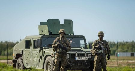 Bo kuna może przegryźć kable. Baza w Redzikowie dostała zgodę na usunięcie dzikich zwierząt
