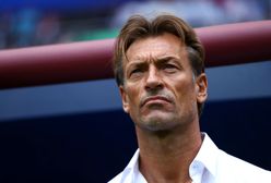 Hervé Renard to najprzystojniejszy trener na mundialu. Internauci zauważyli podobieństwo do postaci z serialu