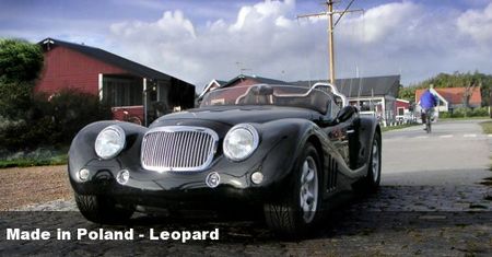 Made in Poland - Leopard