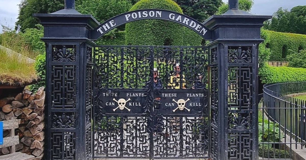 W Poison Garden rośliny są tak trujące, że rosną w klatkach, żeby nikomu nie zrobiły krzywdy