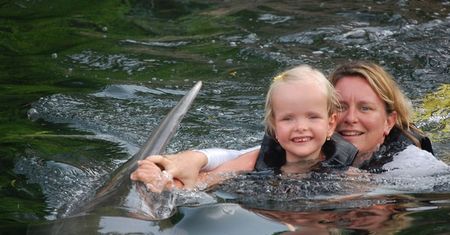 Zajęcia w Island Dolphin Care