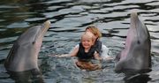 Sesja terapeutyczna w Island Dolphin Care