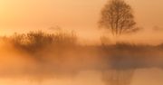 Fotofelieton Mikołaja Gospodarka: Narew lubi się bawić w chowanego