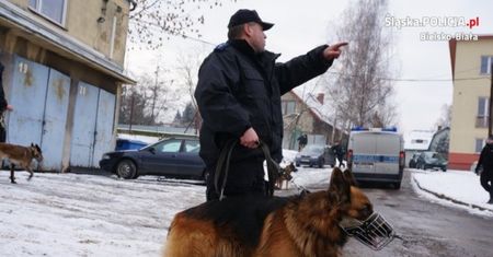 Zgubiła się w nocy w górach. Policyjny pies uratował 60-letnią kobietę