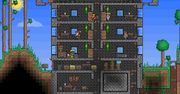 Kolejna niezależna perełka trafi na Vitę - Terraria