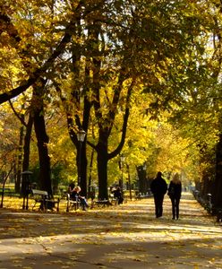 Prognoza na październik. Będą przebłyski lata wśród chłodnej aury