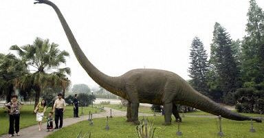 Jak rozpoznać płeć dinozaura?