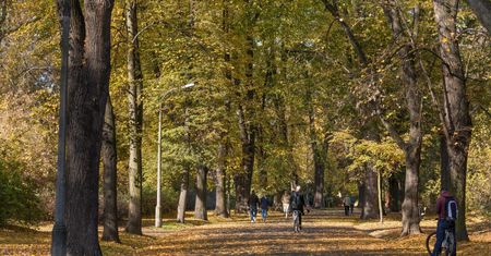 Prognoza pogody na dziś - 30 października. Ciepło w całym kraju. Temperatura jak na wiosnę