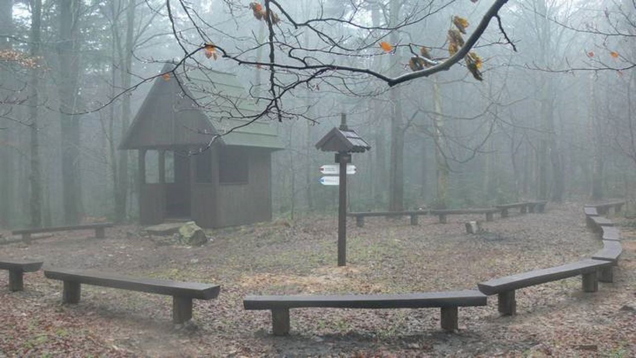 Park utraconych wartości. O kulisach planów zmniejszenia Świętokrzyskiego Parku Narodowego