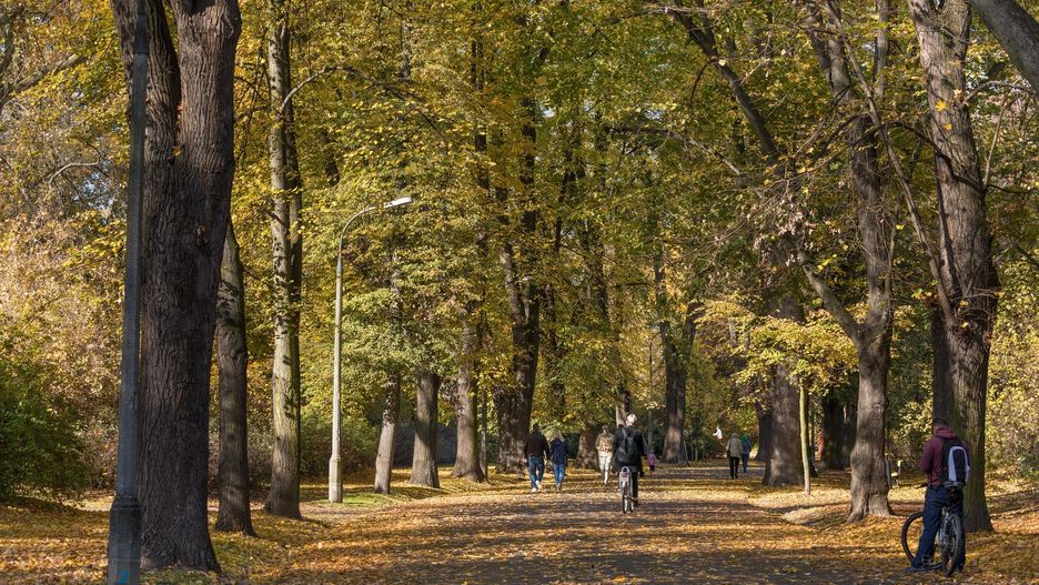 We wtorek wysoką temperaturą będą się cieszyć mieszkańcy wszystkich rejonów Polski