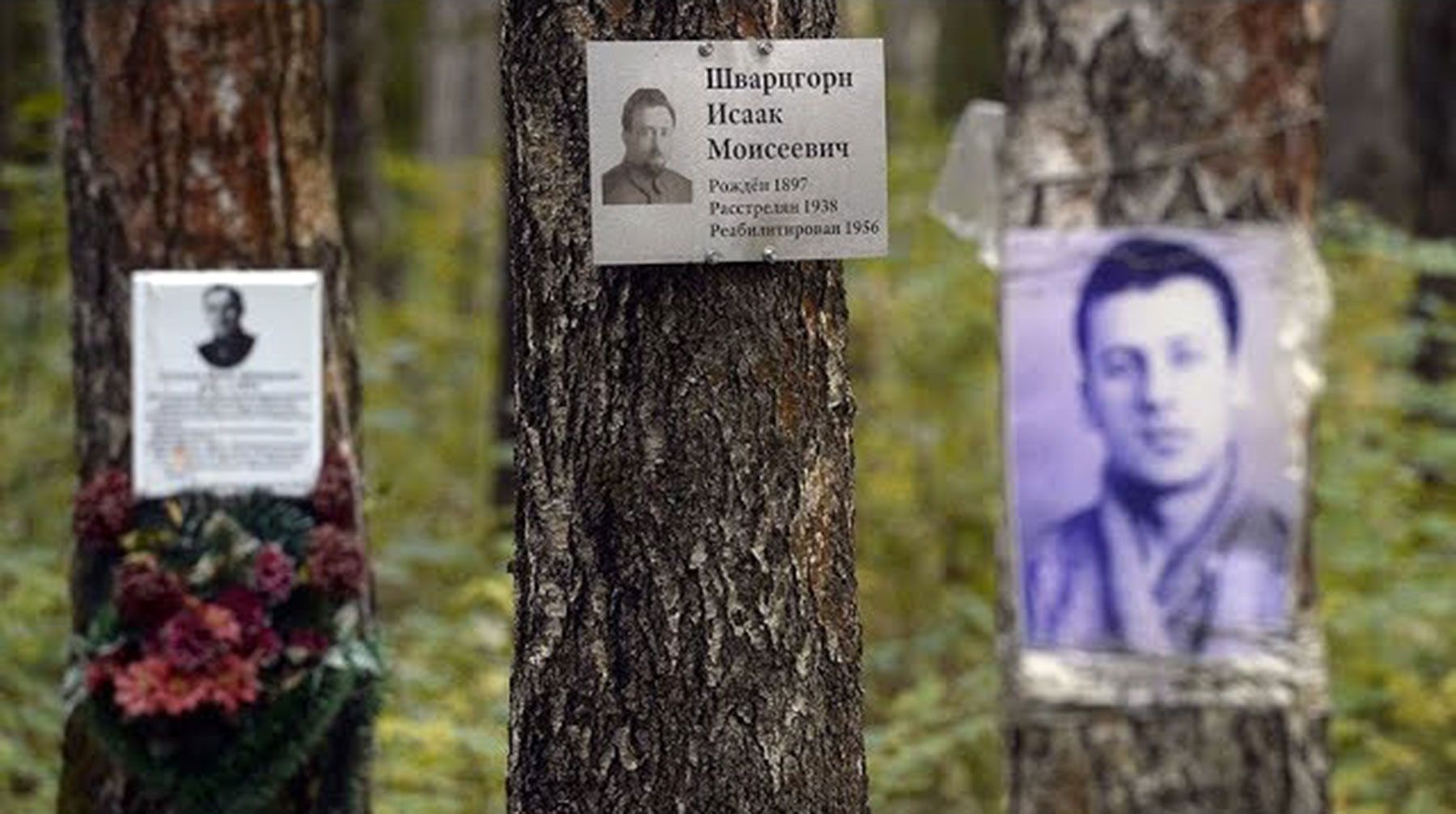 Na drzewach na terenie Kommunarki umieszczono fotografie i tabliczki z informacjami o ludziach, którzy tam spoczywają