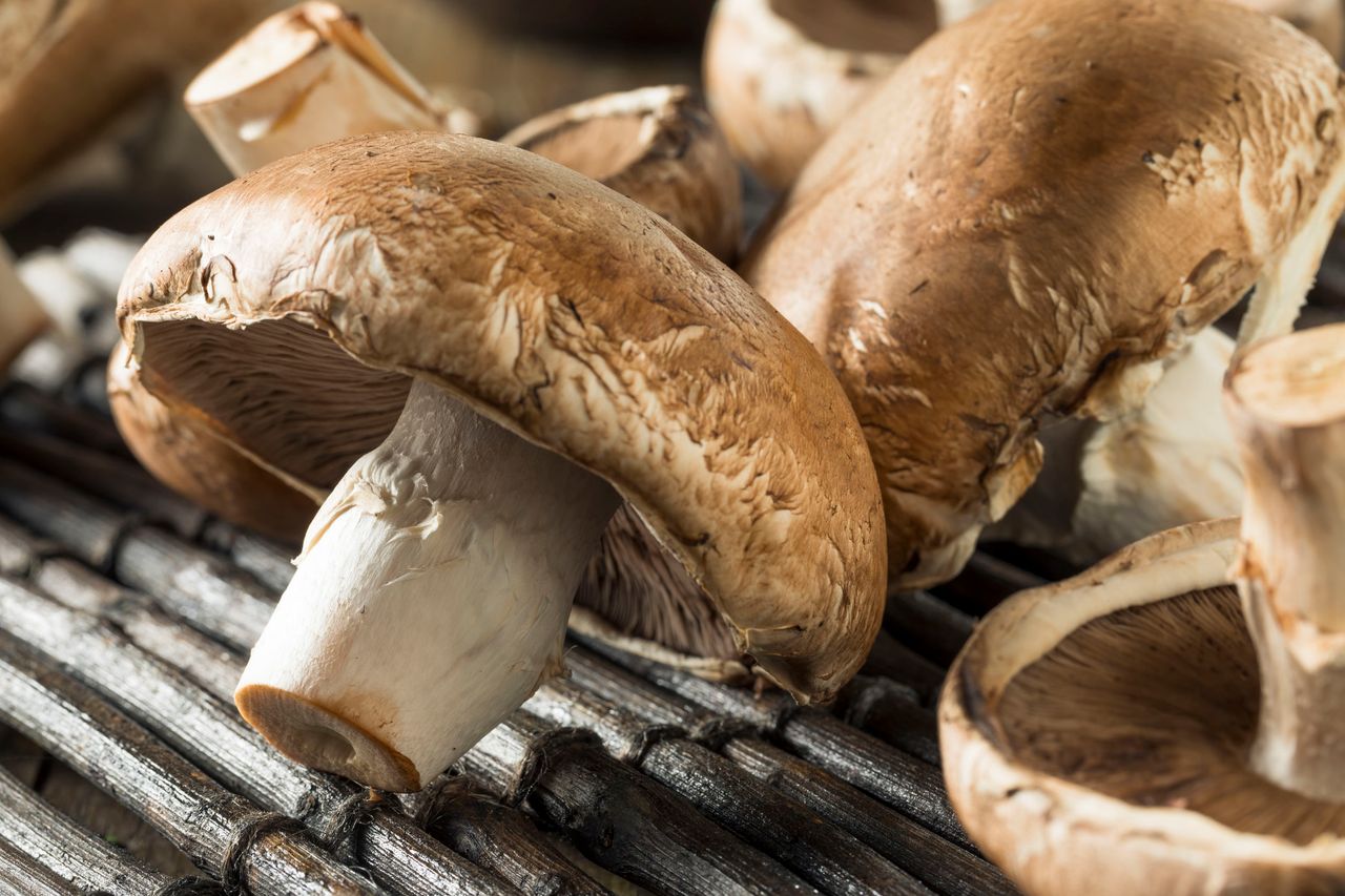 Pieczarki portobello. Co warto o nich wiedzieć