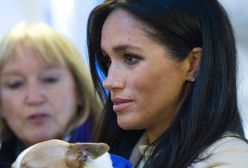 Dzieci Kate nie przepadają za Meghan. Mają jeden prosty powód