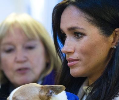 Dzieci Kate nie przepadają za Meghan. Mają jeden prosty powód