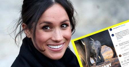 Meghan Markle "księżniczką" Disneya. Jest zwiastun filmu jej nowego filmu