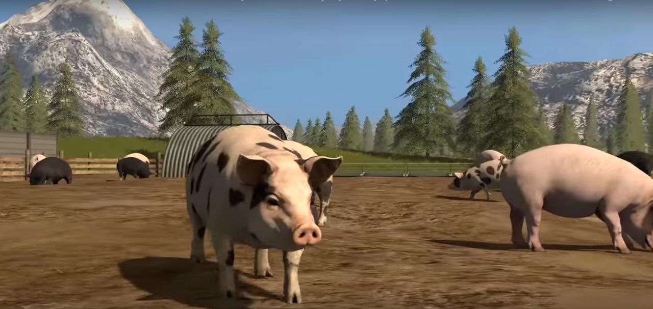 PETA żądna krwi. Domaga się rzezi zwierząt w Farming Simulator 17