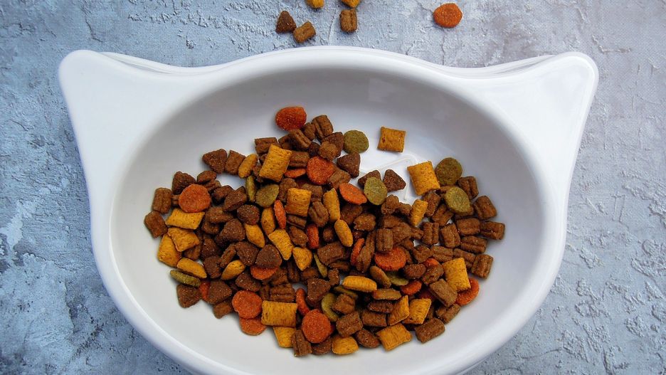 Naukowcy chcą zmienić zawartość karmy dla zwierząt