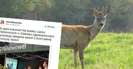 "Symulator zabijania saren". Internauci oburzeni stoiskiem Lasów Państwowych